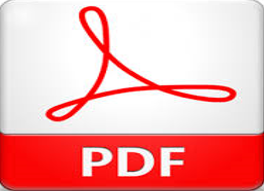 PDF